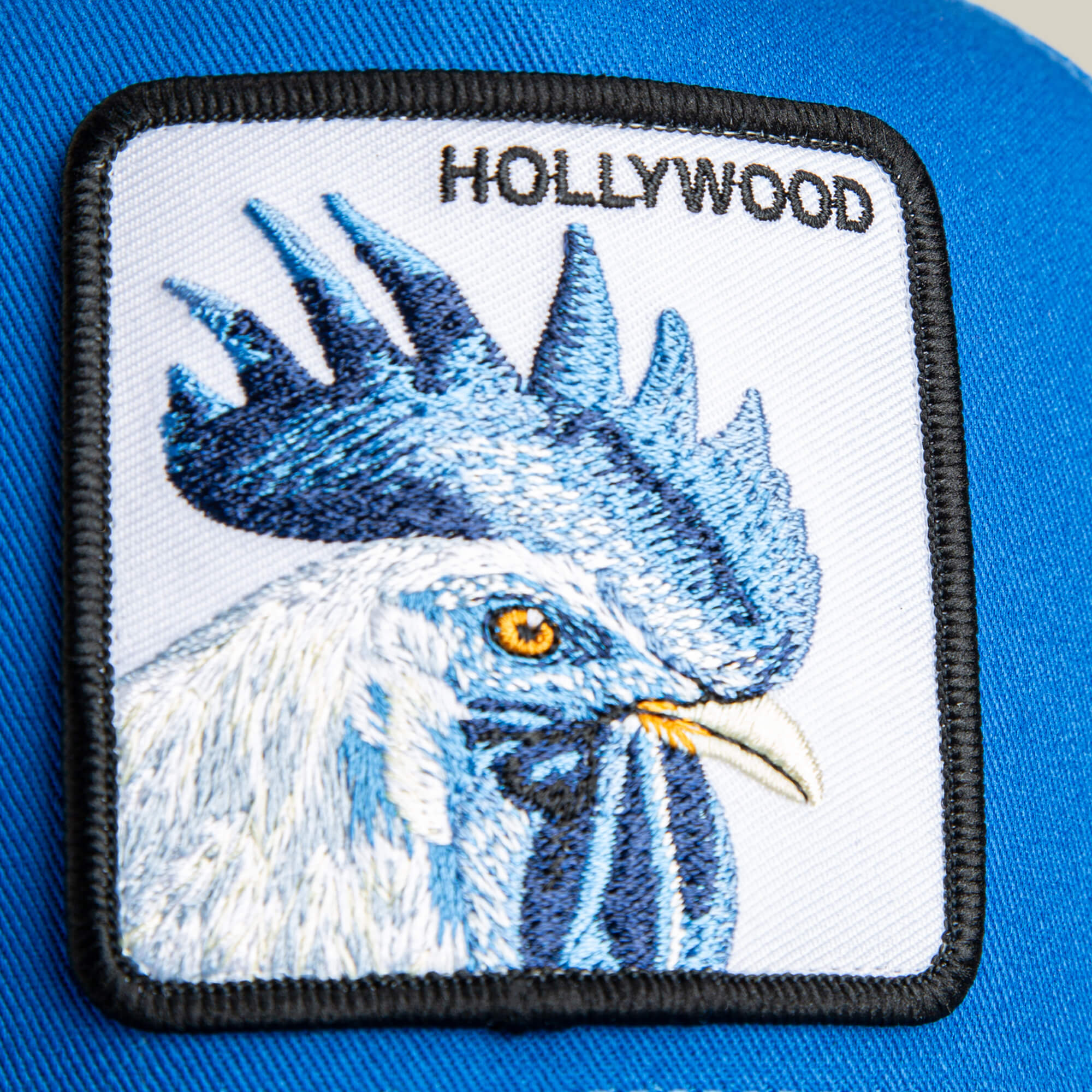 A close-up of the Goorin Bros. Hollywood Rooster Mini patch, kid size, embroidered in blue and white with "HOLLYWOOD" lettering on an electric blue mesh background.