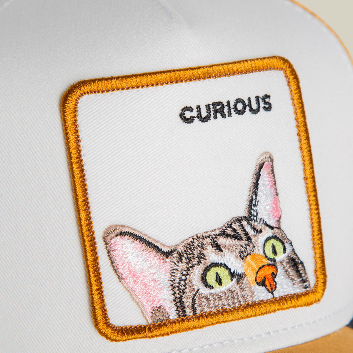The Goorin Bros. Curious Cat Mini is a white trucker hat with a gold embroidered border featuring an embroidered cat design with green eyes and pink inner ears, shown flat lay against a white background.