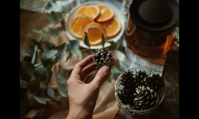 Seasonal Cocktails