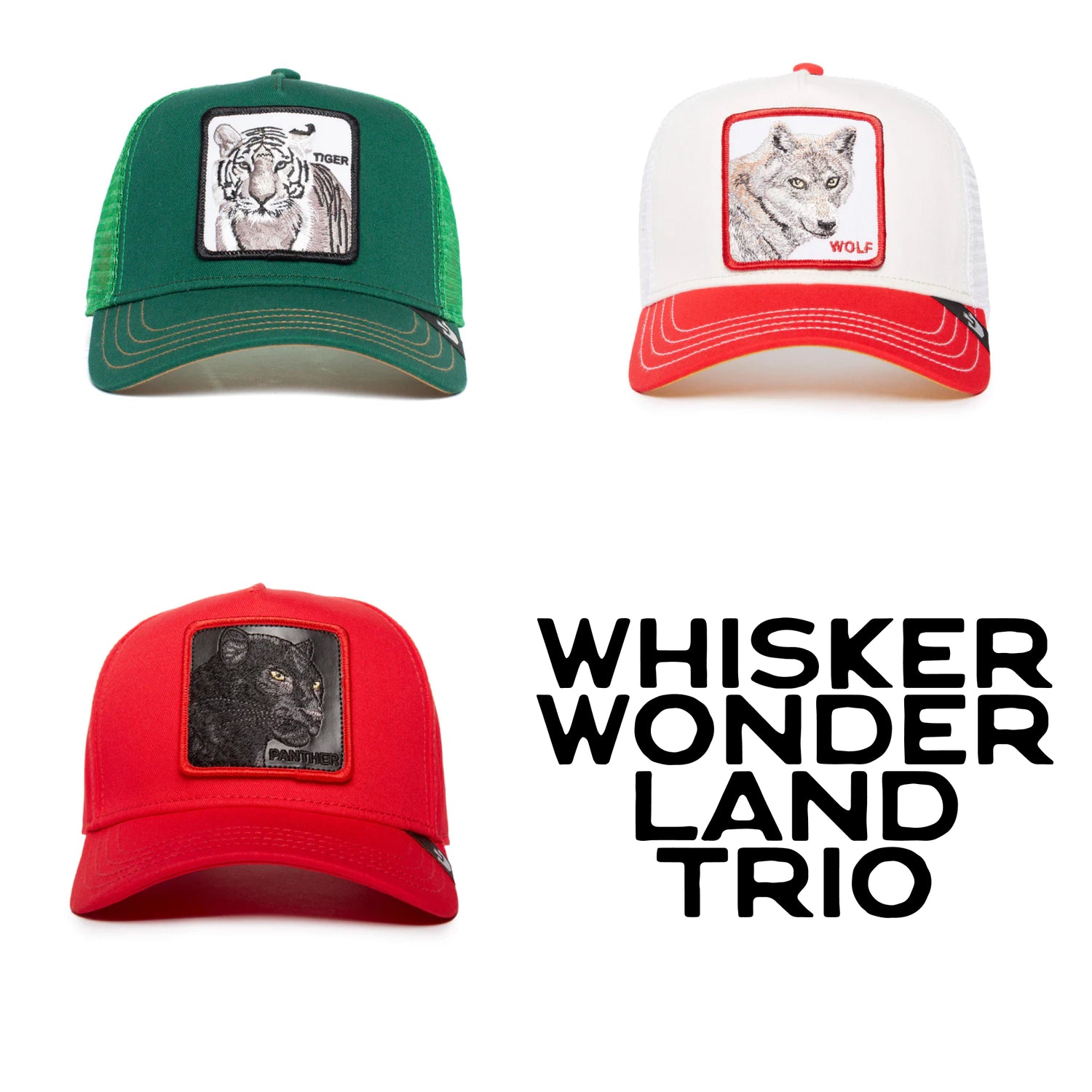 Whisker Wonderland Trio