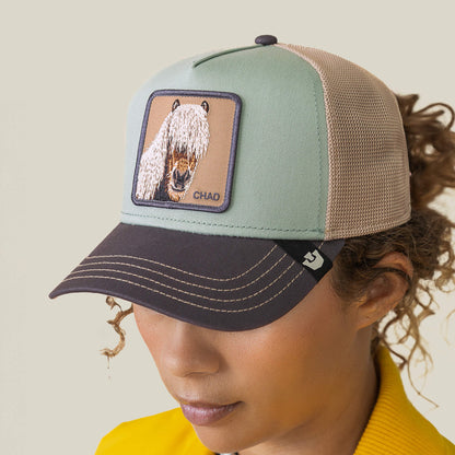 A person wears the Goorin Bros. Tricolor Horse hat, featuring a mesh back and a patch with a shaggy-haired horse, paired with a yellow collared shirt.