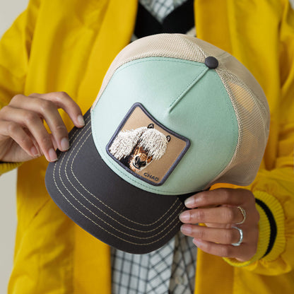 A person in a yellow jacket holds the Goorin Bros. Tricolor Horse—a stylish trucker cap featuring a horse patch and sleek tricolor design.