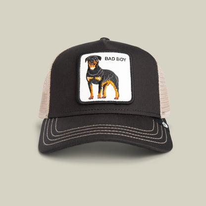 The Bad Boy by Goorin Bros. is a stylish black and beige hat featuring a patch with an embroidered Rottweiler and the text BAD BOY—perfect as a standout accessory.