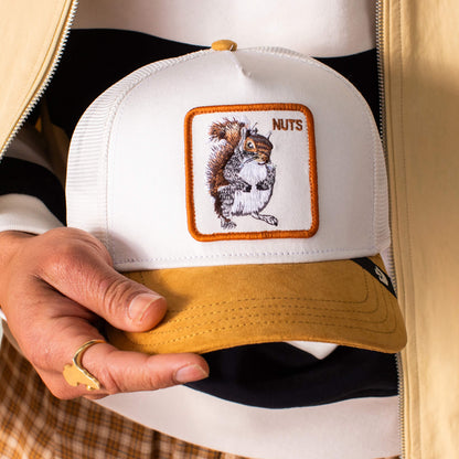 A person holds the Goorin Bros. Suede Squirrel hat, which has a white crown, yellow details, and an embroidered squirrel with the word NUTS.