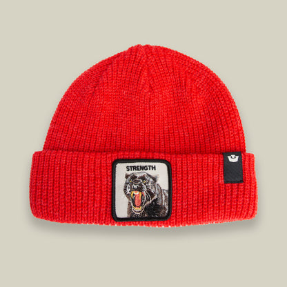 The Strength Beanie by Goorin Bros. in RUSH color offers rugged warmth, features a roaring bear and "STRENGTH" on the front cuff, plus a small black side tag.
