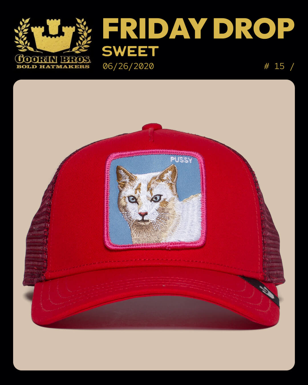 A red mesh trucker hat by Goorin featuring a patch with an illustrated cat and the word PUSSY embroidered above it, displayed on a beige background.