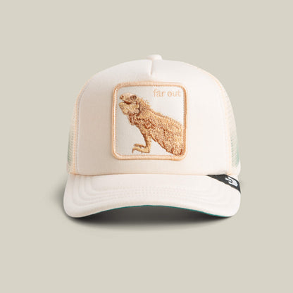 The Goorin Bros. Lil Far Out is a cream kids cap with a mesh back, featuring a breathable design and an embroidered lizard patch with "far out" on the front.