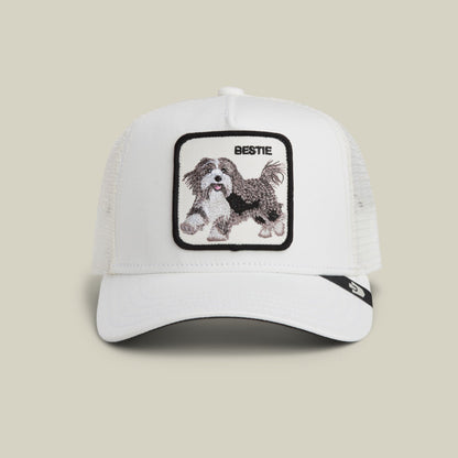 The Goorin Bros. Bestie Trucker Mini is a white mesh-back snapback hat featuring an embroidered Shih Tzu dog patch on the front, displayed against a neutral background.