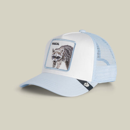 The Goorin Bros. Rascal Raccoon Mini trucker hat features a white front panel and light blue mesh back with a raccoon graphic patch and black brand stripe on the bill, displayed against a neutral background.