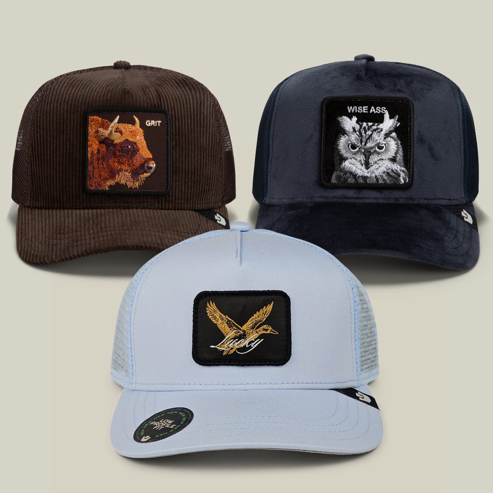 The Smarter Than You Look Bundle by Goorin Bros. includes three trucker hats: a brown hat with a bison patch labeled “GRIT”—because you’re tougher than a bison; a navy hat with an owl patch labeled “WISE ASS”—showing you’re smarter than an owl; and a light blue hat featuring a flying bird patch.
