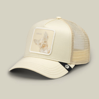 The Goorin Bros. Tonal Amigo Mini is a cream trucker hat with mesh panels and an embroidered chihuahua patch on the front, shown on a neutral background.